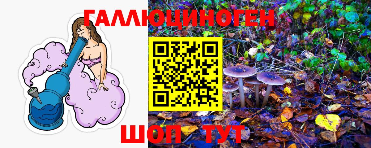 Псилоцибиновые грибы ЛСД Борзя