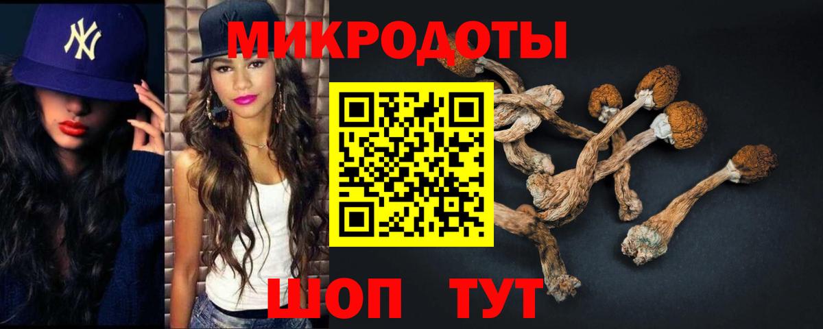 Борзя  Галлюциногенные грибы GOLDEN TEACHER  Псилоцибиновые грибы Psilocybe  Вход с VPN 